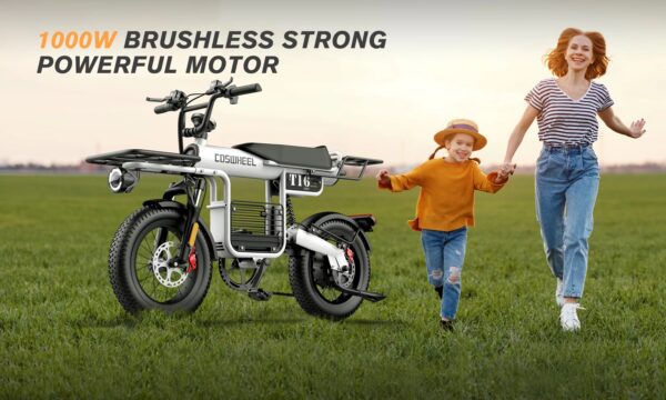 Coswheel T16 胖胎電動自行車