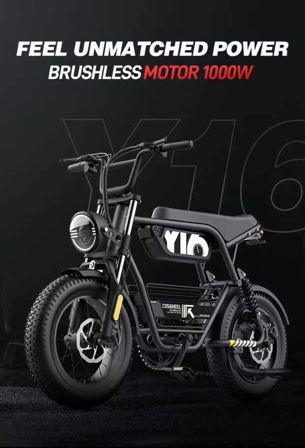 Coswheel Y16 電動自行車