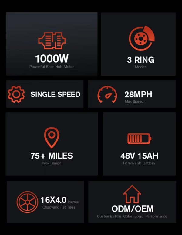 Coswheel Y16 電動自行車