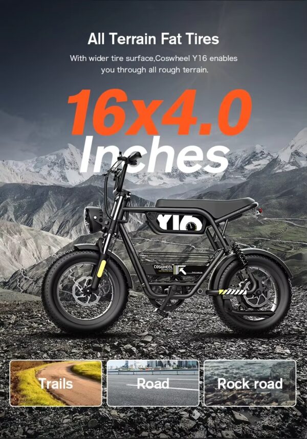 Coswheel Y16 電動自行車