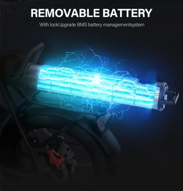 Coswheel CT20 胖胎電動自行車