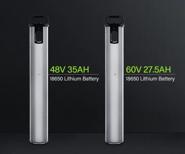 Coswheel CT20S 胖胎電動自行車