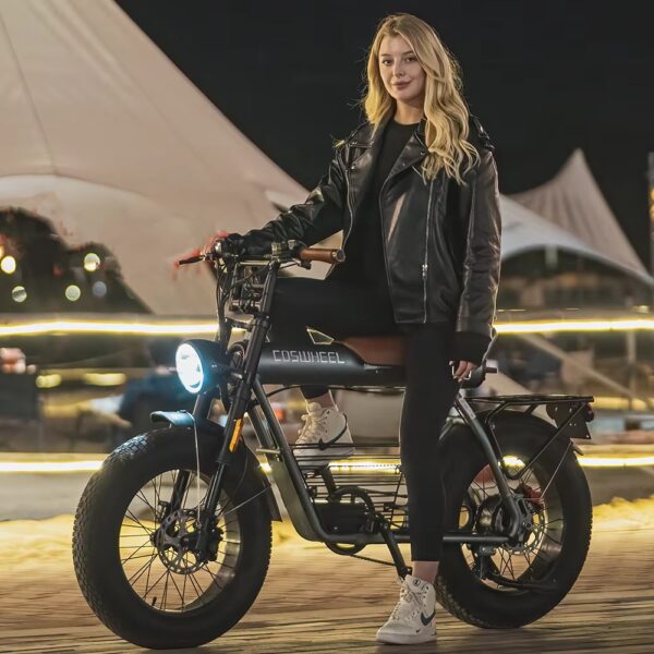 Coswheel CT20 胖胎電動自行車