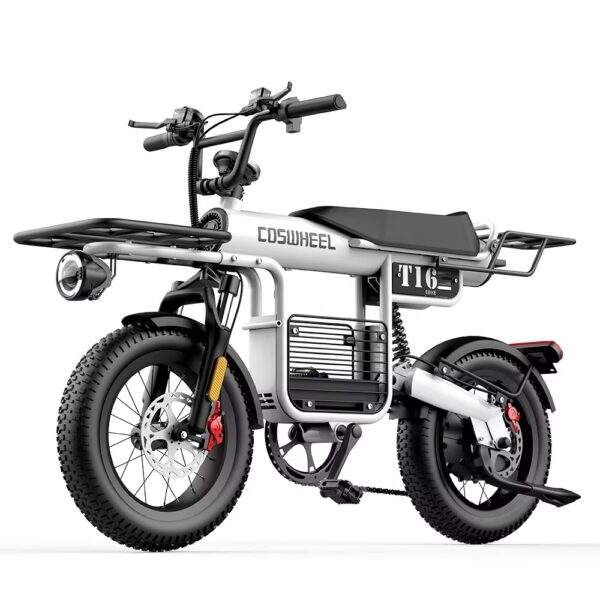 Coswheel T16 胖胎電動自行車