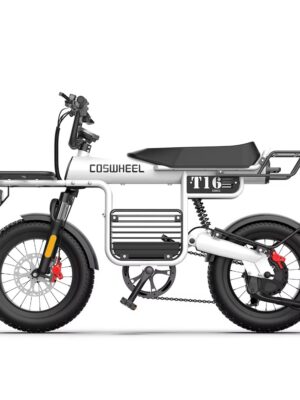 Coswheel T16 胖胎電動自行車