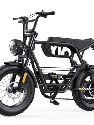 Coswheel Y16 電動自行車