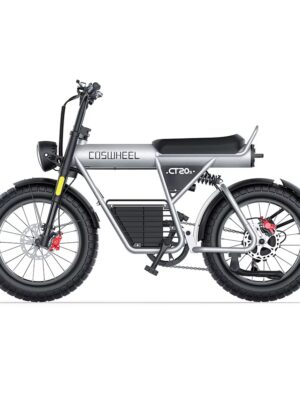Coswheel CT20S 胖胎電動自行車