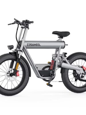 Coswheel T20 電動自行車