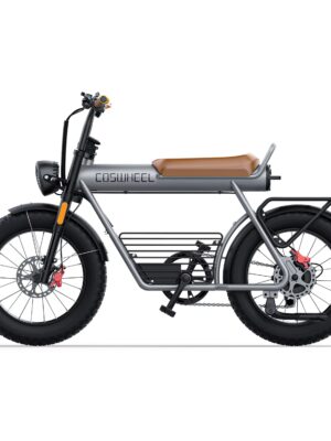 Coswheel CT20 胖胎電動自行車